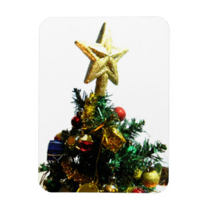 Weihnachtsstern-Spitze I Magnet