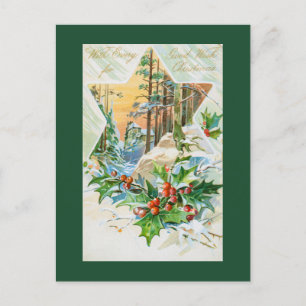 Weihnachtsstern und Holly Feiertagspostkarte