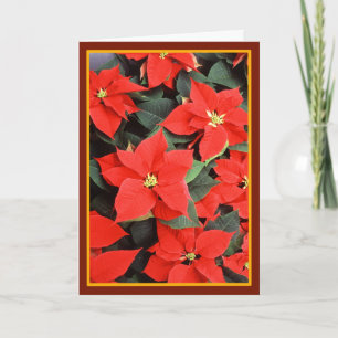 Weihnachtssterne - Vintage-Fine-Art-Karte Feiertagskarte