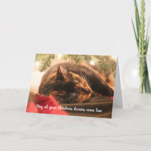 Weihnachtsträume Schlafen Calico Katze, peronalisi Feiertagskarte