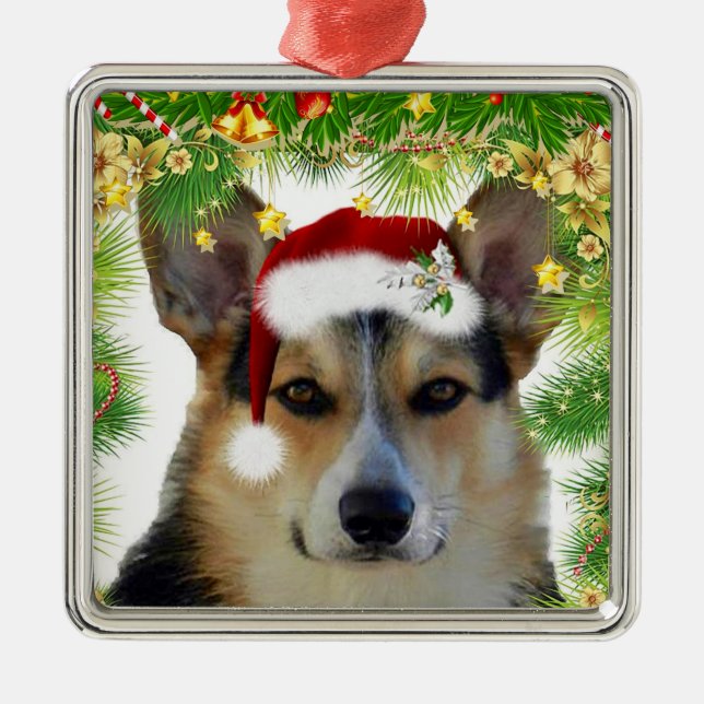 WeihnachtsTricolor Corgi Silbernes Ornament (Vorne)