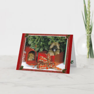 Weihnachtsüberraschung Feiertagskarte