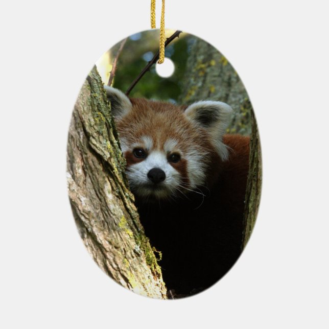 Weihnachtsverzierung - roter Panda Keramikornament (Hinten)