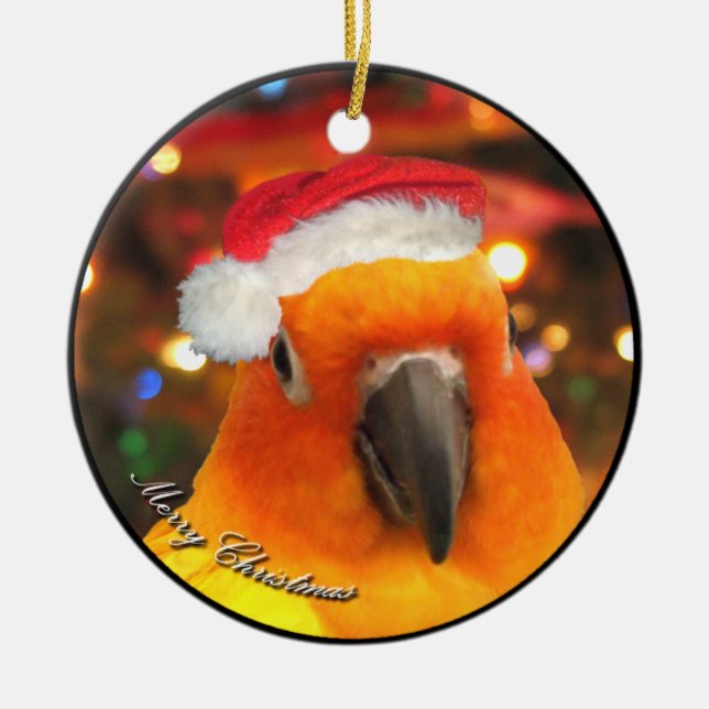 Weihnachtsverzierung Sankt Sun Conure Keramik Ornament (Vorne)