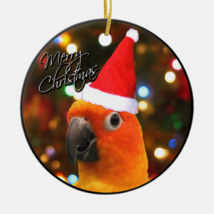 Weihnachtsverzierung Sankt Sun Conure Keramikornament
