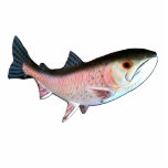 Weihnachtsverzierungs-Fisch-Lachsrosa Fotoskulptur Ornament<br><div class="desc">Weihnachtsverzierungen, Weihnachtsverzierungs-Fisch-Lachsrosa die MUSEUM Zazzle Geschenke, WeihnachtsFoto gestaltet die MUSEUM Zazzle Geschenke, die MUSEUM Zazzle Geschenke, Geschenke die MUSEUM Zazzle jGibney Entwurfs-Vorlagen, Hochzeiten, Einladungen, die Verlobungensgeschenke, am neuesten, am besten, am größten, fein, Schutzbrille, das facebook, kolossal, riesig, am beststen, Zuhause, Museum, jgibney, gibsphotoart, Kunst, Malerei, giclee, Leinwand, Fenster, Schatten, Kunst,...</div>