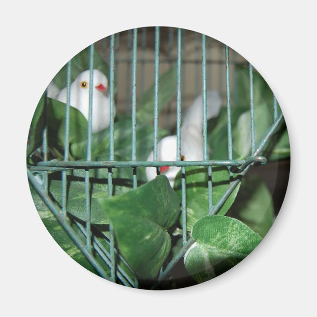 Weihnachtsvögel Magnet (Vorne)