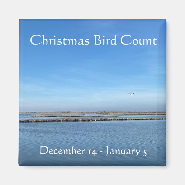 Weihnachtsvogel Magnet (Vorne)