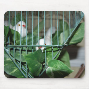 Weihnachtsvögel Mousepad
