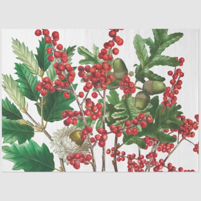 Weihnachtswald Festliche Berries Acorn Evergreen Seidenpapier (Vorderseite)