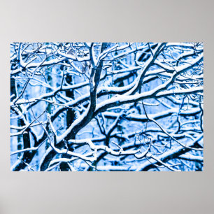 Weihnachtswald Poster