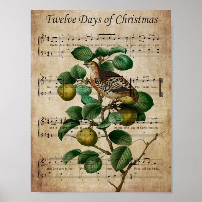 Weihnachtswandkunst-Rebhuhn im Birnbaum Poster (Vorne)