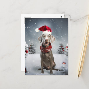 Weihnachtsweimaraner Hund Postkarte
