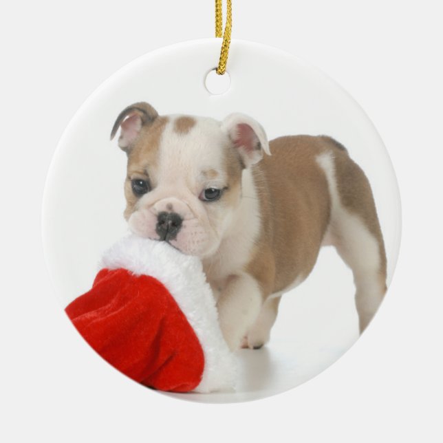 Weihnachtswelpe - englischer Bulldoggen-Welpe Keramikornament (Vorne)