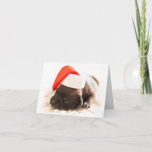 Weihnachtswelpe Feiertagskarte (Vorderseite)