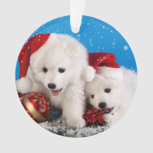 Weihnachtswelpen-weißer SpitzSpitz Ornament