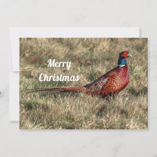 Weihnachtswohnung im Pheasant-Foto Feiertagskarte