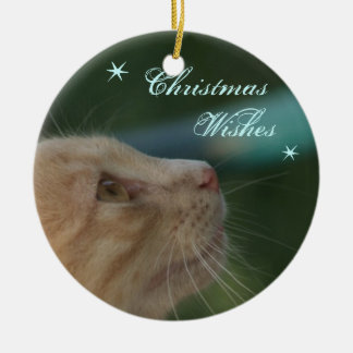 Weihnachtswünsche Keramik Ornament