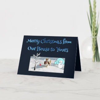 Weihnachtswünsche / Schönes Becken im Schnee Karte