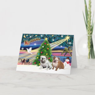 Weihnachtszauber - 2 Englische Bulldoggen Feiertagskarte