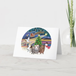 Weihnachtszauber - 3 Meerschweinchen Feiertagskarte