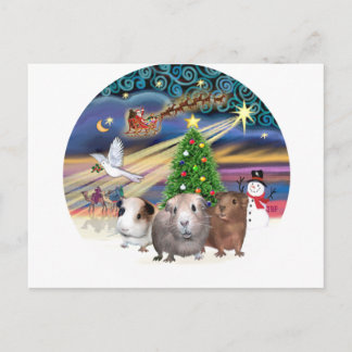 Weihnachtszauber - 3 Meerschweinchen Feiertagspostkarte