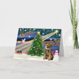 Weihnachtszauber Border Terrier Feiertagskarte