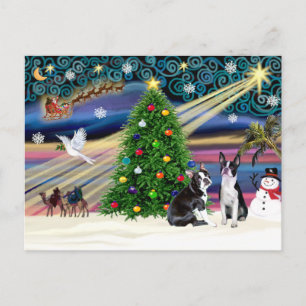 Weihnachtszauber-Boston Terrier (2) Feiertagspostkarte