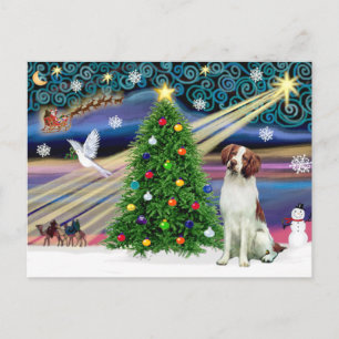 Weihnachtszauber Brittany Spaniel Feiertagspostkarte