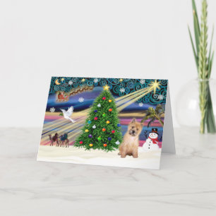 Weihnachtszauber Cairn Terrier Welpe Feiertagskarte
