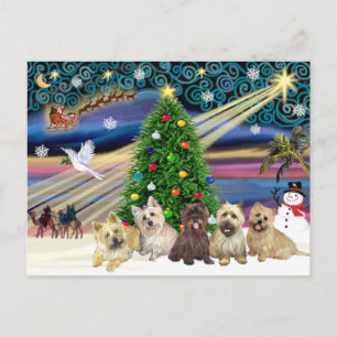 Weihnachtszauber Cairn Terriers (Fünf) Feiertagspostkarte