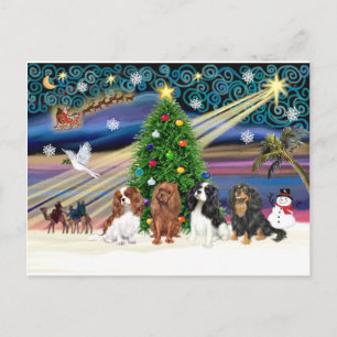 Weihnachtszauber /  Cavalier King Charles (vier) Feiertagspostkarte