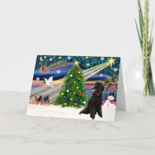 Weihnachtszauber-Pudel (schwarzer Standard) Feiertagskarte