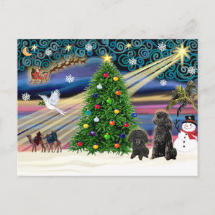 Weihnachtszauber-Pudel (zwei schwarze Toy-Pudel) Feiertagspostkarte
