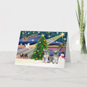 Weihnachtszauber Schnauzer (zwei) Feiertagskarte