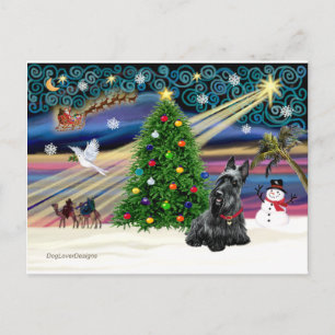 WEIHNACHTSZAUBER-Scottie2B Feiertagspostkarte