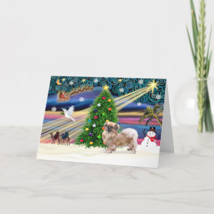 Weihnachtszauber-Tibet-Spaniel Feiertagskarte