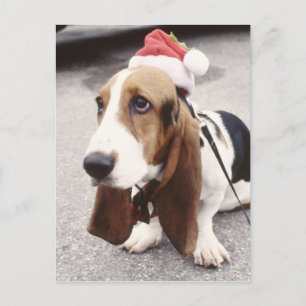 Weihnachtszeit Feiertagspostkarte