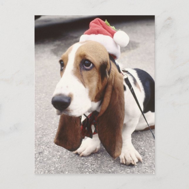 Weihnachtszeit Feiertagspostkarte (Vorderseite)