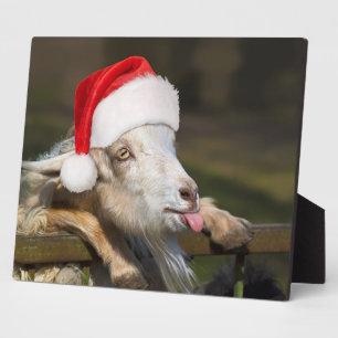 Weihnachtsziege Fotoplatte