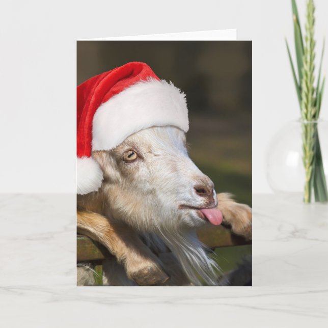 Weihnachtsziege Karte (Vorderseite)