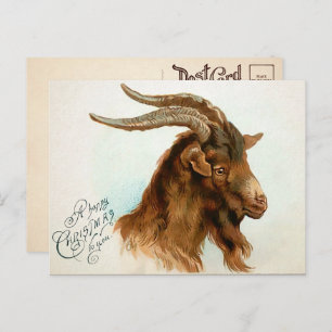 Weihnachtsziege Postkarte