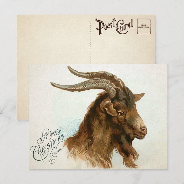 Weihnachtsziege Postkarte (Vorne/Hinten)