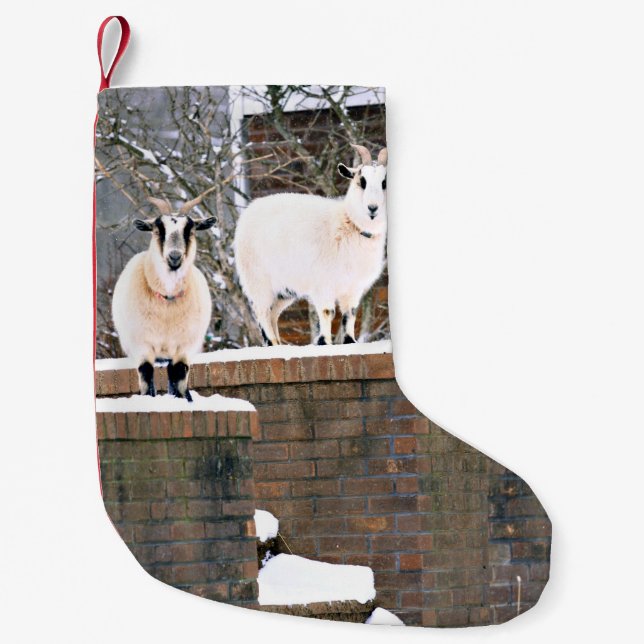Weihnachtsziegen Kleiner Weihnachtsstrumpf (Vorderseite)