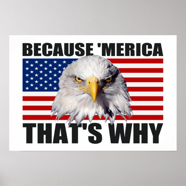 WEIL "MERICA, DAS IST WARUM US Flag Poster (groß) (Vorne)