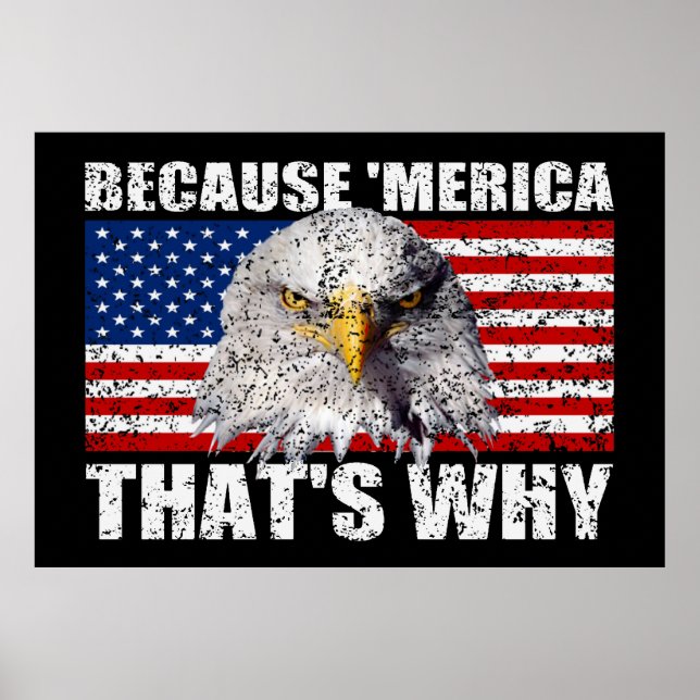 WEIL "MERICA, DAS IST WARUM US Flag Poster (groß) (Vorne)