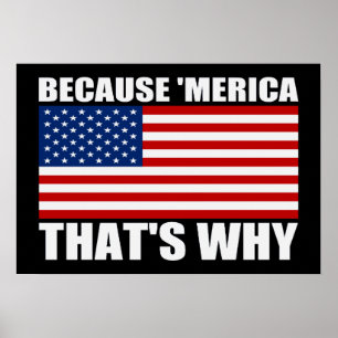 WEIL "MERICA, DAS IST WARUM US Flag Poster (klein)