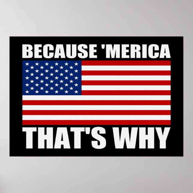 WEIL "MERICA, DAS IST WARUM US Flag Poster (klein) (Vorne)