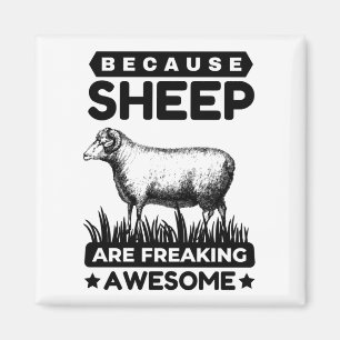 Weil Schafe Phantastisch frieren Magnet