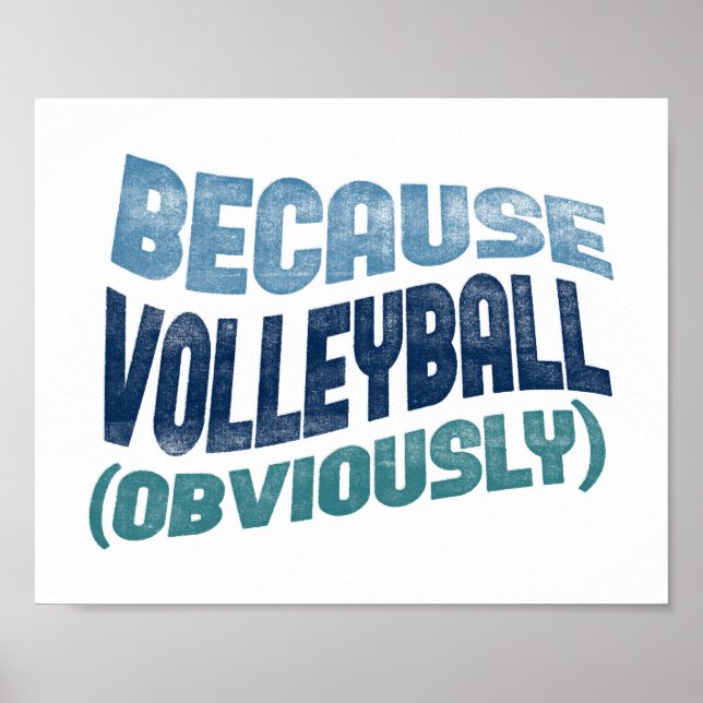Weil Volleyball Poster - Funny Volleyball Art (Vorne)